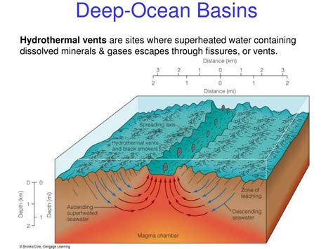 PPT - Continental Margins & Ocean Basins PowerPoint Presentation - ID:80062