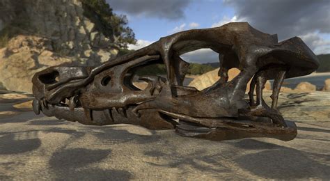 ArtStation - Velociraptor Skull