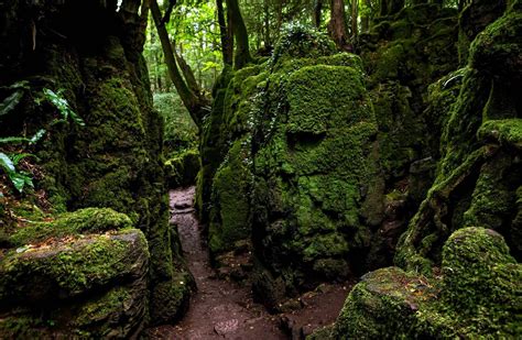 England's Best Ancient Woodlands - ASMALLWORLD