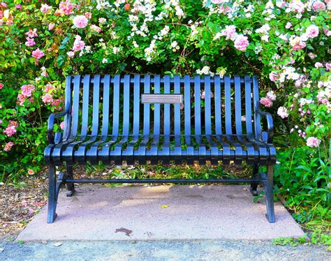 Bench in Owen Memorial Rose Garden in Eugene, Oregon | Flickr
