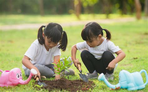 Menanam Pohon “Sustainable Living” Di Sekolah - REFO