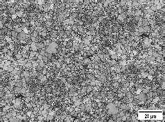 Optical microscopy before the sheet metal forming. Reagent: Nital 2%.... | Download Scientific ...