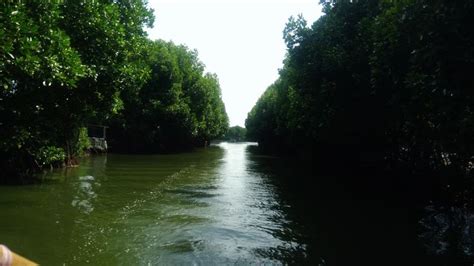 Mangrove Tour and Sailing - Jakarta | GoWithGuide