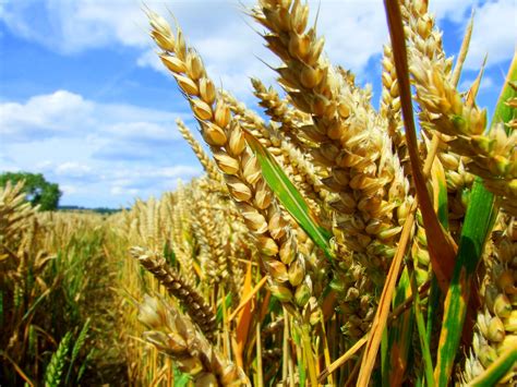 Martha Roby: Fighting for Alabama agriculture