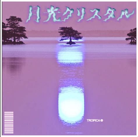 I make vaporwave album covers when i'm bored sometimes | TROPICA © : r ...