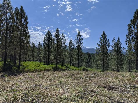 Enhancing Forest Resilience in Modoc County — California Climate Investments