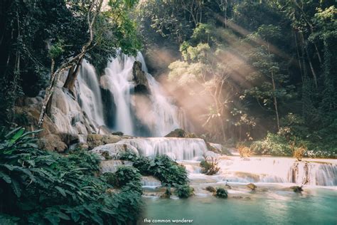 The Ultimate Kuang Si Falls Guide: What to See, Know, and Do | The Common Wanderer