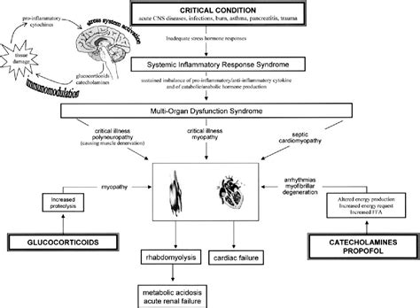 Propofol Infusion Syndrome