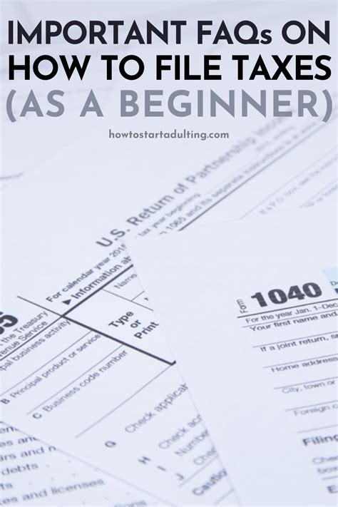 Beginner's Guide to Filing Taxes