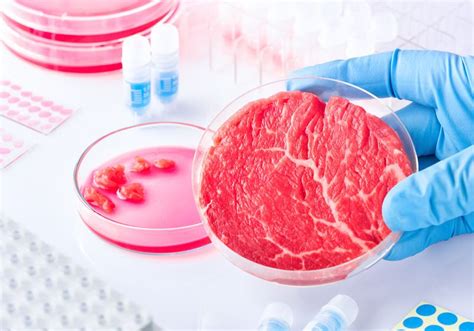 Has The Fda Approved Lab Grown Meat