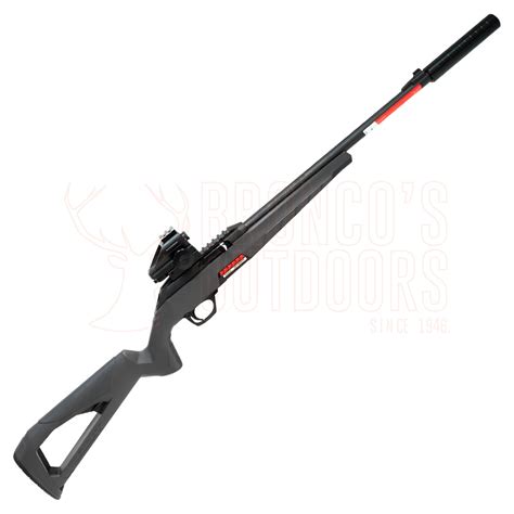 Winchester Wildcat .22LR 16.5" + Stealth Reflex Red/Green Dot with Laser+ Suppressor | Broncos ...