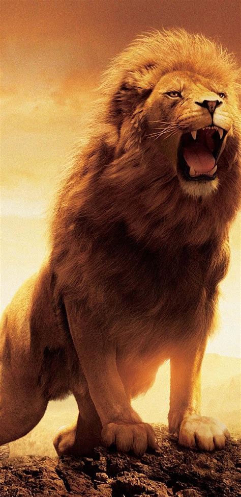 1440x2960 Narnia Lion Samsung Galaxy Note 9,8, S9,S8,S8+ QHD HD 4k ...