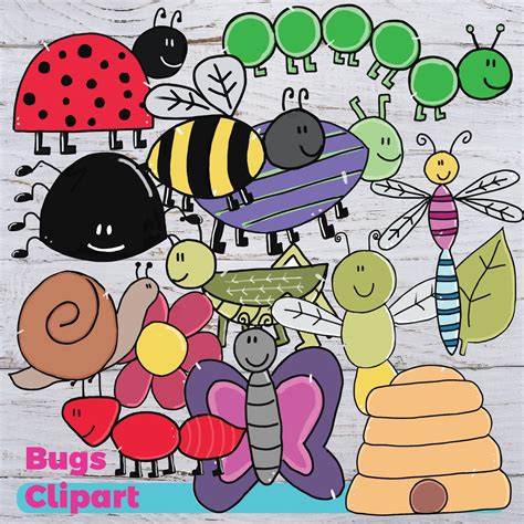 Bugs Clipart Bugs Digital Clipart Spring Bugs Clipart | Etsy