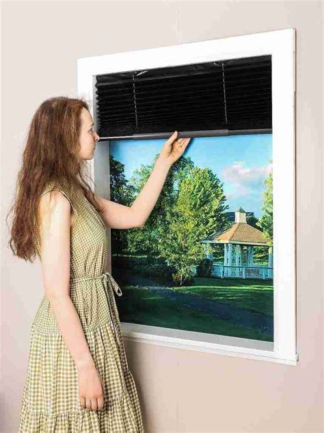 ECFAC Easy Up & Down Cordless Pleated Window Shades Review - Smart Shades