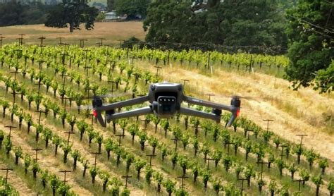 Advexure and Aerobotics Partner to Deliver Unparalleled Precision Agriculture Solution with the ...