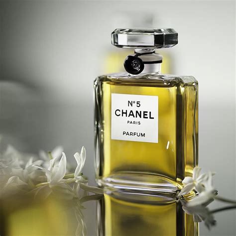 Top 15 most expensive perfume in the world - Briefly.co.za