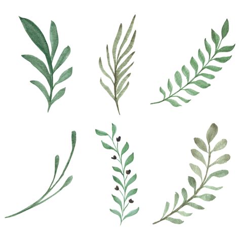 Green leaf branch set 1183369 Vector Art at Vecteezy