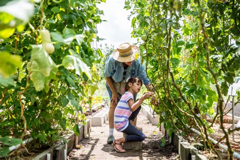 Permaculture Farming Fights Global Poverty - The Borgen Project