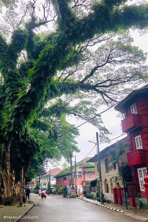 Explore the streets of Fort Kochi as you stay in heritage bungalows ...