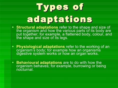 Adaptations Year 8