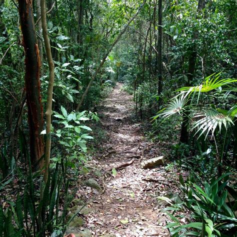 Hiking Magens Bay Trail on Saint Thomas | St thomas virgin islands, St ...