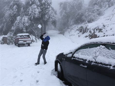 Weather Service Reports Napa County Snowfall Amounts | Napa Valley, CA Patch