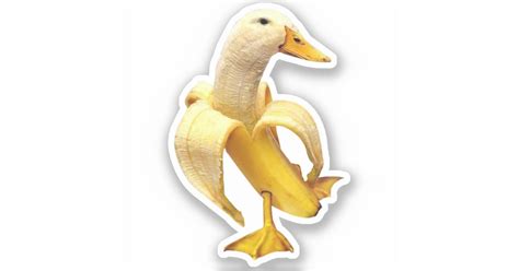 Sticker Banana Duck Meme | Zazzle