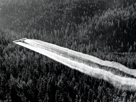 1955. Fort tri-motor spraying DDT. Western spruce budworm … | Flickr