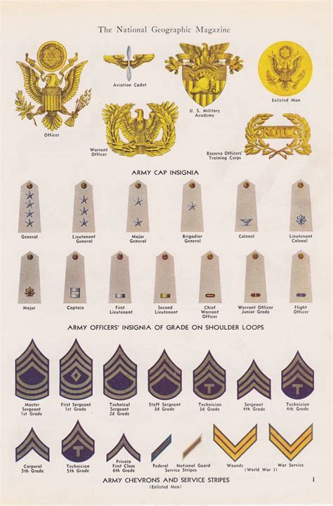 Philippine Army Rank Structure