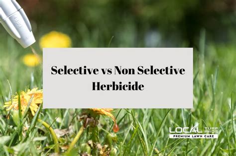 Selective Vs Non Selective Herbicide - Local Turf Pros