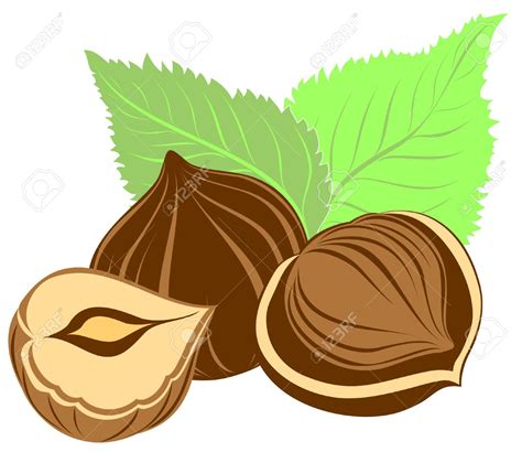 Hazelnut tree clipart 20 free Cliparts | Download images on Clipground 2020