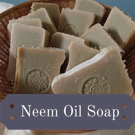 Handmade natural tallow soap recipe: neem oil soap and salve – Eight Acres Natural Living