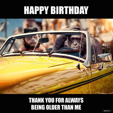 Happy Birthday Best Friend Meme in Illustrator, PSD, JPG, GIF, PNG - Download | Template.net