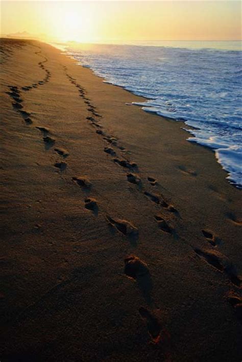 🔥 Download The Image Of Jesus Footprints In Sand Came by @sbrown | Footprints Poem Wallpapers ...