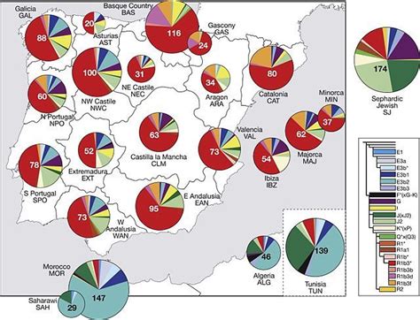 Y-Chromosome haplogroup distributions in Iberian Peninsula. | Iberian peninsula, History, Genetics