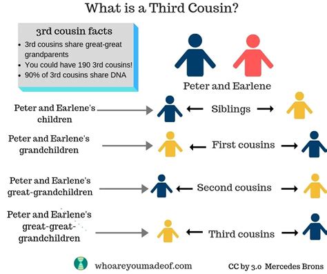 What is a Third Cousin? - Who are You Made Of?