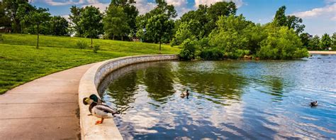 Explore the Best Parks in Baltimore County Neighborhoods