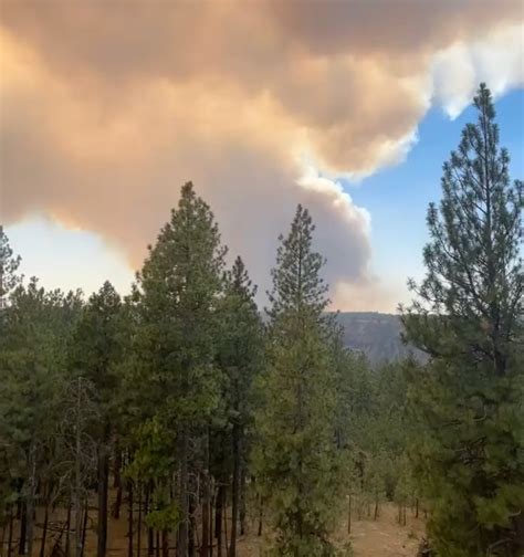 Gray Fire Spreads Around Spokane as Evacuation Orders Expand