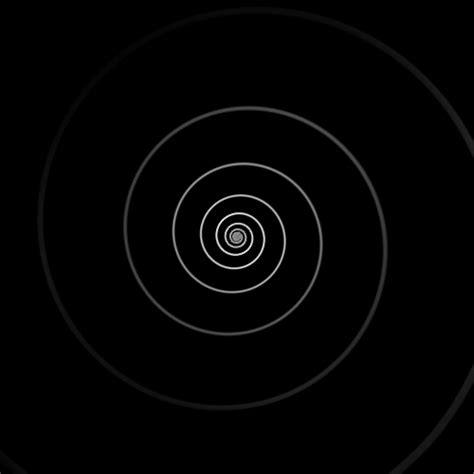 logarithmic spiral on Tumblr