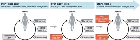 The three steps in the progress of gene therapy for SCID X1 ...