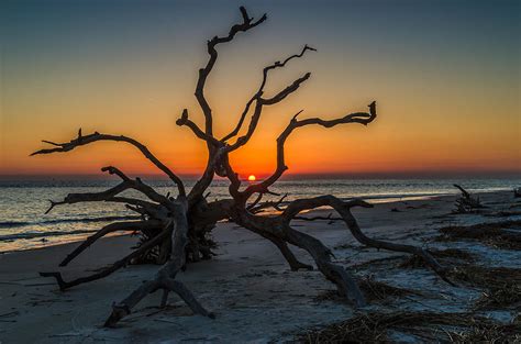 Sunrise On Driftwood Beach Photograph by Eric Albright