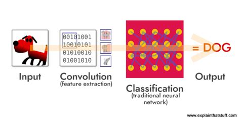 The Power of Neural Networks: A Business Leader’s Guide