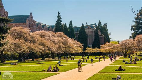 University of Washington Wallpapers - Top Free University of Washington Backgrounds ...