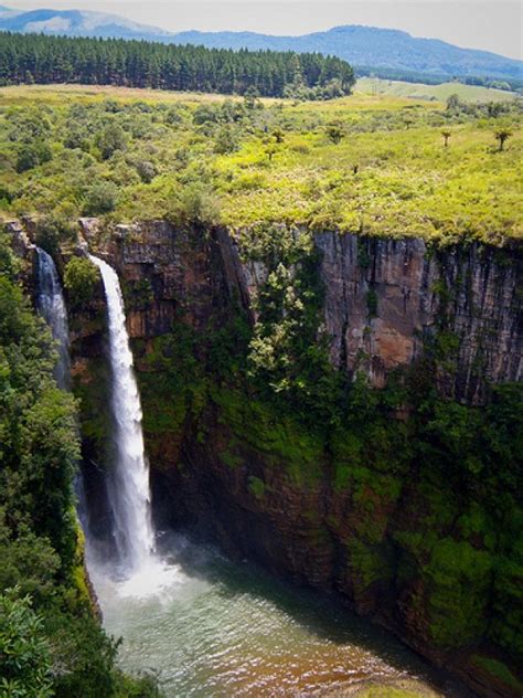 Mac Mac Falls, Mpumalanga | South africa travel, South africa road trips, Waterfall