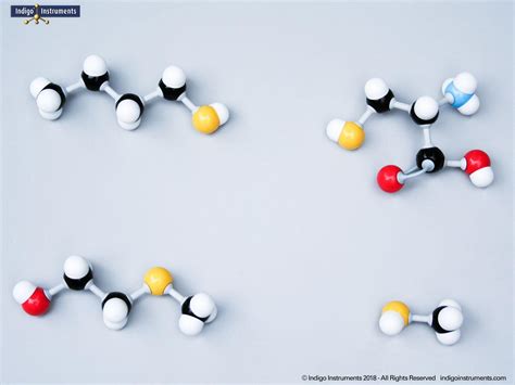 Molymod Student Molecular Model Set