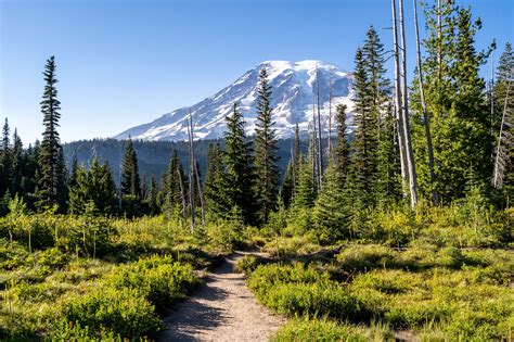 Where To Stay At Mount Rainier National Park: Complete Guide