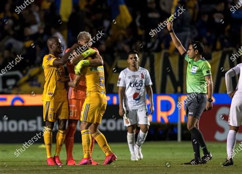 Tigres Uanl Players Celebrate Goal While Editorial Stock Photo - Stock Image | Shutterstock