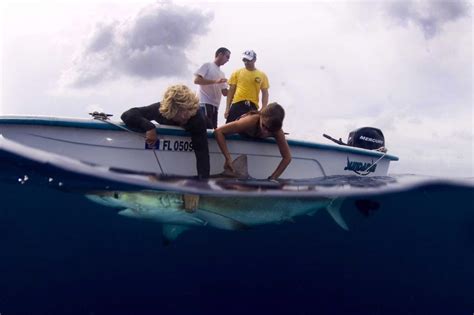 Bimini Sharklab--World Renown Research Facility Where Sharks Rule | Coastal Angler & The Angler ...