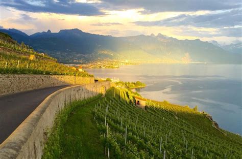 Lake Geneva wineries to visit - Decanter