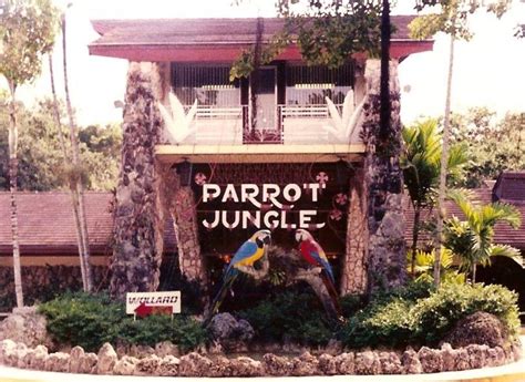 Parrot Jungle in Miami, FL (1990) | Old florida, Florida, Tourist